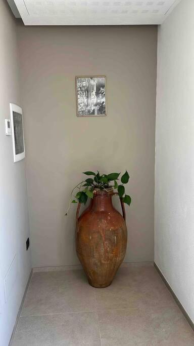 Matarrese 1950 Bed & Breakfast Castellana Grotte Dış mekan fotoğraf